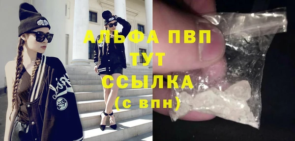 стафф Арсеньев