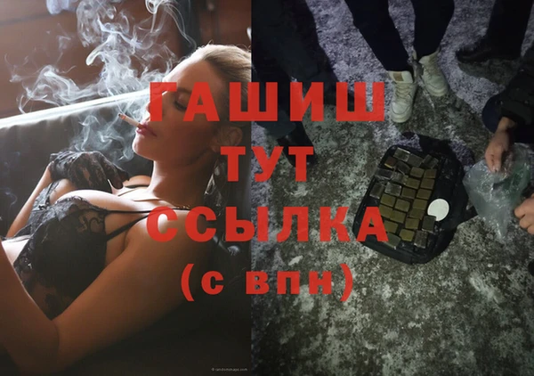 стаф Алзамай