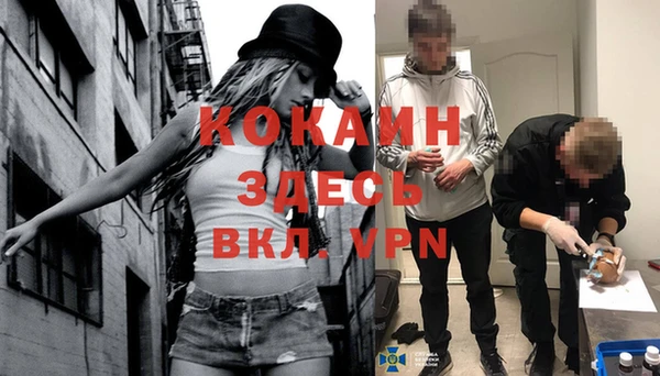 бошки Аркадак