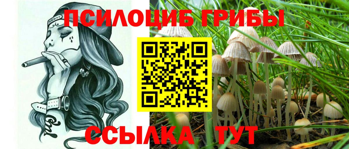Псилоцибиновые грибы MAGIC MUSHROOMS  магазин продажи наркотиков  Асбест  Галлюциногенные грибы прущие грибы  Вход с VPN 