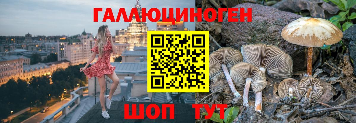 Псилоцибиновые грибы прущие грибы Асбест
